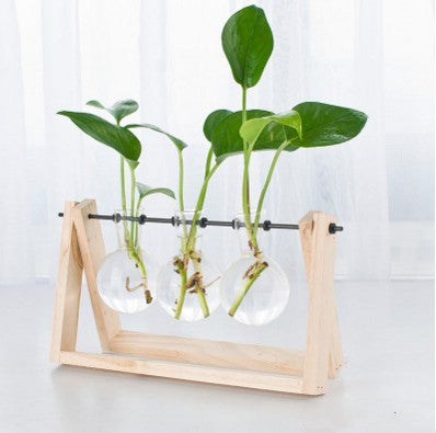 ClearWood HydroPlanter